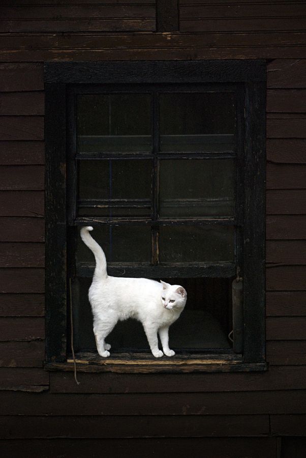 Философская лирика 2013 — Поэзия — Неприметно © Елена Дэми